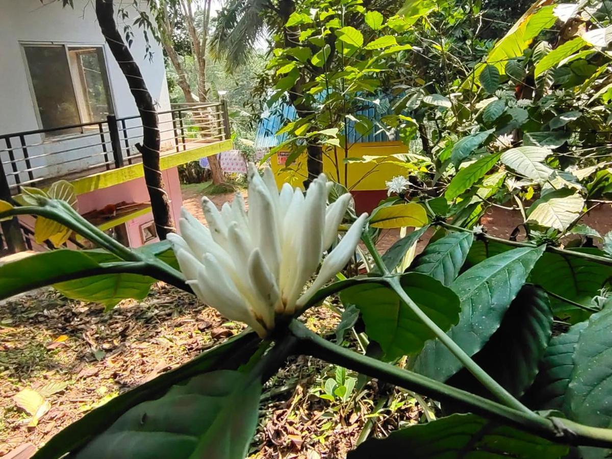 מדיקרי Green Land Estate Homestay 5 Rooms With Garden View מראה חיצוני תמונה
